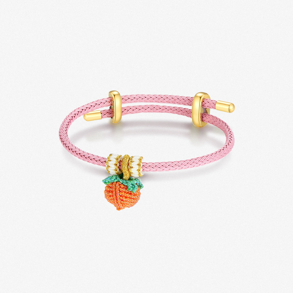 DIY Colorful Adjustable Braided Bracelet for Charm