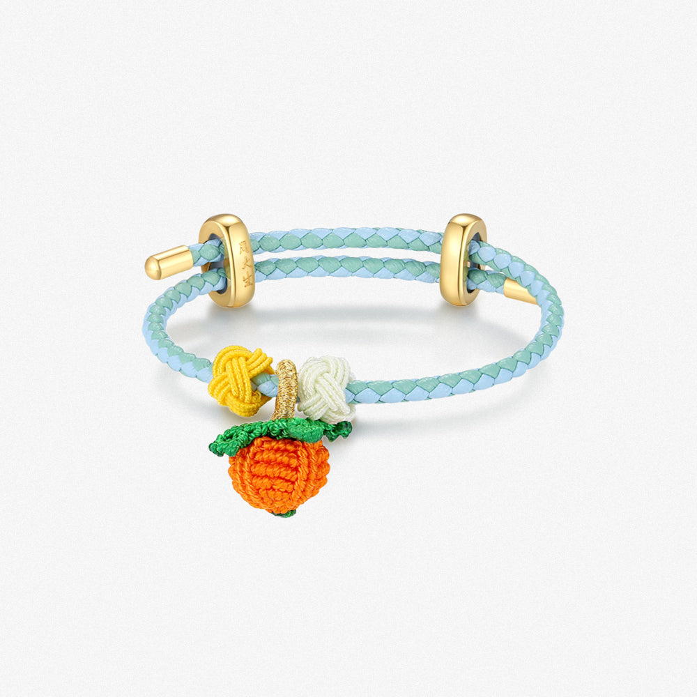 DIY Colorful Adjustable Braided Bracelet for Charm