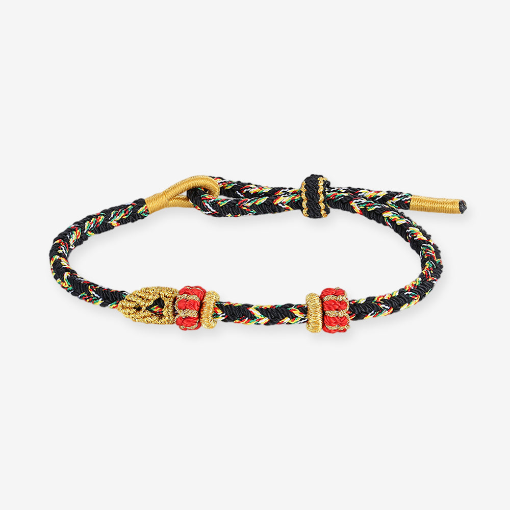 DIY Colorful Adjustable Braided Bracelet for Charm