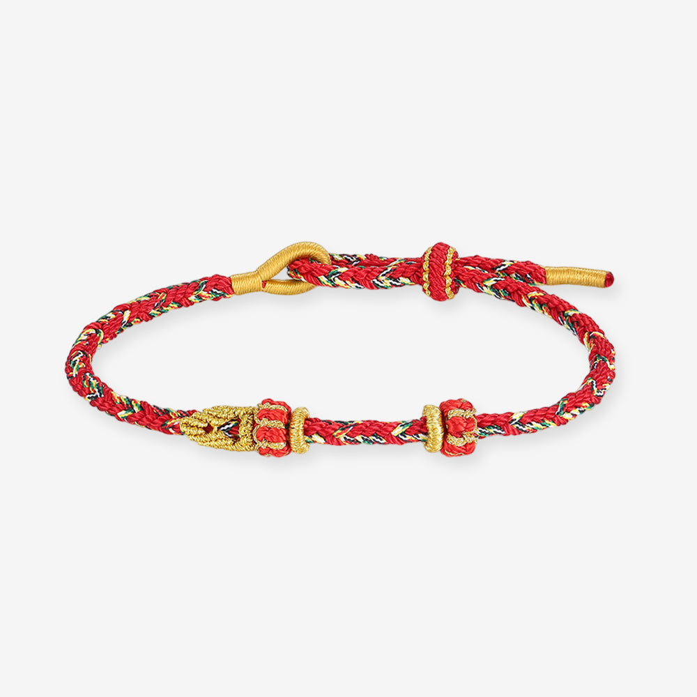 DIY Colorful Adjustable Braided Bracelet for Charm