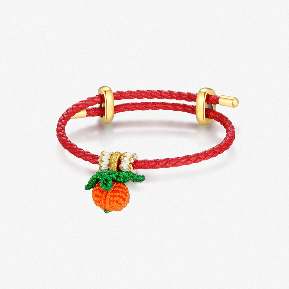 Colorful Adjustable Braided Bracelet for Charm